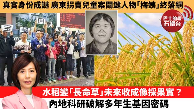 李彤「十分鐘看中國」真實身份成謎，廣東拐賣兒童案關鍵人物｢梅姨｣終落網。水稻變｢長命草｣未來收成像採果實？內地科研破解多年生基因密碼。 26年3月23日