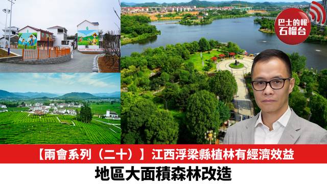 【兩會系列（二十）】江西浮梁縣植林有經濟效益，地區大面積森林改造。