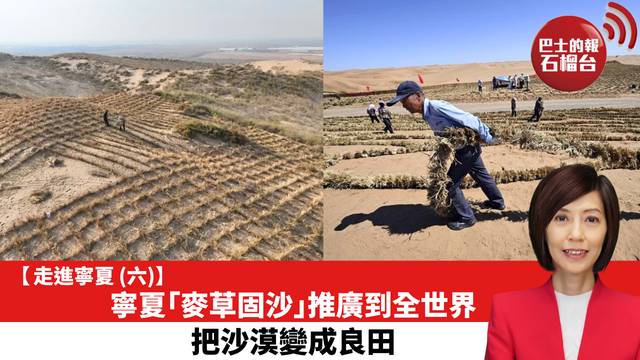 【走進寧夏 (六)】寧夏「麥草固沙」推廣到全世界，把沙漠變成良田。