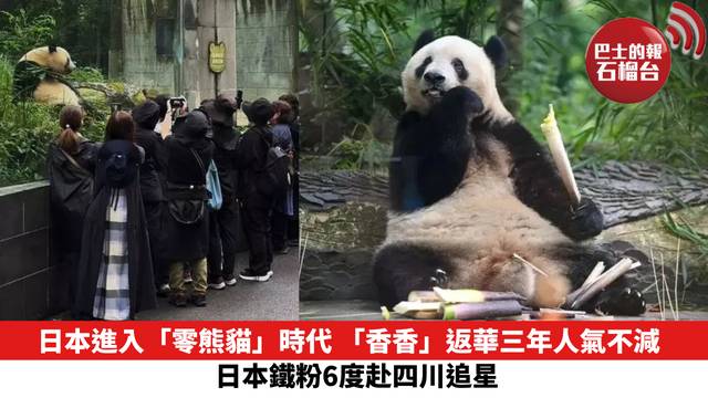 日本進入「零熊貓」時代 「香香」返華三年人氣不減 日本鐵粉6度赴四川追星