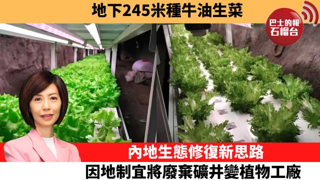 李彤「十分鐘看中國」地下245米種牛油生菜。內地生態修復新思路，因地制宜將廢棄礦井變植物工廠。  26年9月29日