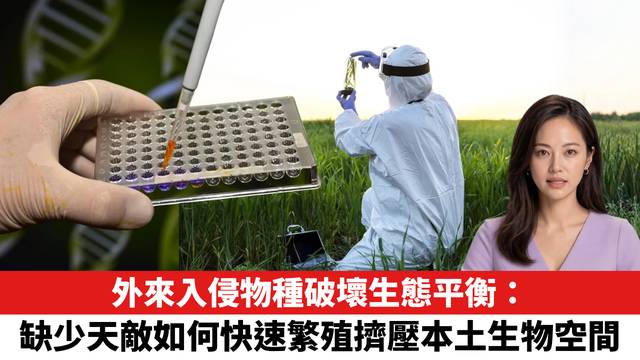 外來入侵物種破壞生態平衡：缺少天敵如何快速繁殖擠壓本土生物空間。